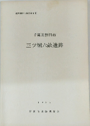 千葉県野田市 三ツ堀六畝遺跡