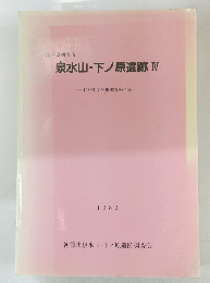 泉水山・下ノ原遺跡　IV