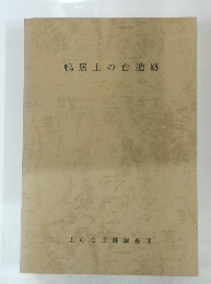 鴨居上の台遺跡