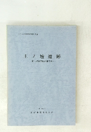 王ノ壇遺跡 第5次発掘調査報告書