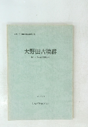 大野田古墳群一第9次発掘調査報告書-