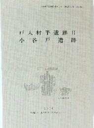 戸入村平遺跡 II 小谷戸遺跡　2000