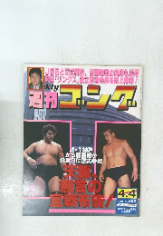 週刊ゴング1991年