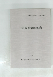 中道遺跡第22地点