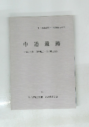 中道遺跡-第5地点・第8地点・第2地点2次-