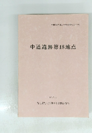 中道遺跡第18地点　1991