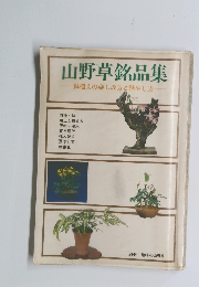 山野草銘品集　鉢植えの楽しみ方と殖やし方　別冊 趣味の山野草