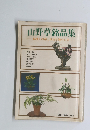 山野草銘品集　鉢植えの楽しみ方と殖やし方　別冊 趣味の山野草
