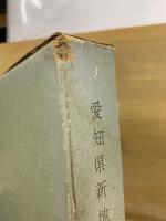 愛知県新地方計画