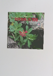 知床海岸の花100