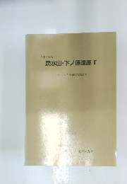 泉水山・下ノ原遺跡　III