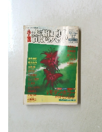 奇想天外　1990年6月号