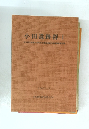 小田遺跡群 I 大分県玖珠郡玖珠町所在集落遺跡の発掘調査報