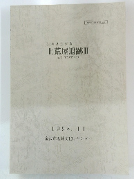 上荒屋遺跡 3 奈良・平安時代(2) 1998年11月