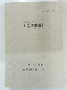 上荒屋遺跡 3 奈良・平安時代(2) 1998年11月