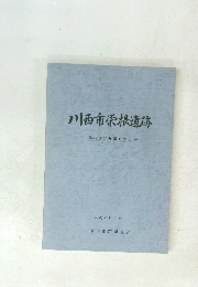 川西市栄根遺跡　第19次発掘調査報告　