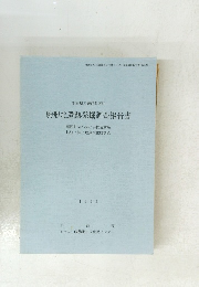 駒形北遺跡発掘調査報告書　1993年