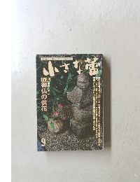 小さな蕾　9　No.254　1989年9/4号