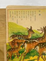 ドウブツ　カハイラシイ