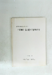 野間神社・橋詰遺跡発掘調査概要　1993年3月号