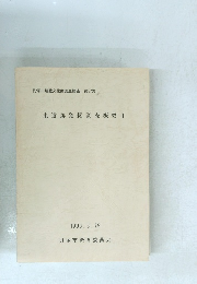 東遺跡発掘調査概要　1　1996年3/29号