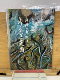 神秘の魚粥川　うなぎ天国