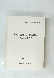堀部西遺跡 八田切遺跡 発掘調査報告書