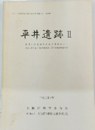 平井遺跡 Ⅱ