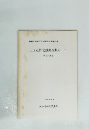 王子遺跡発掘調査概報II 第3次調査