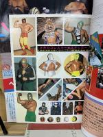 プロレス秋季号 ビバ ルチャ・リブレ