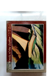 The Wreck of the Zephyr