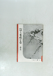 富士をめぐる　空から