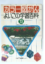 カラー図かん よいこの学習百科 13