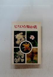 ビーナスライン周辺の花