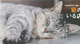 キャレル　2009年4月20日発行