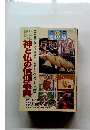 歴史と旅　1999年1/10号