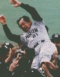 阪神タイガース イヤーブック　1986年