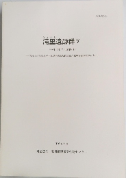 滝里遺跡群V