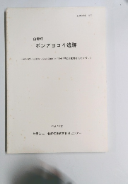 ポンアヨロ4遺跡