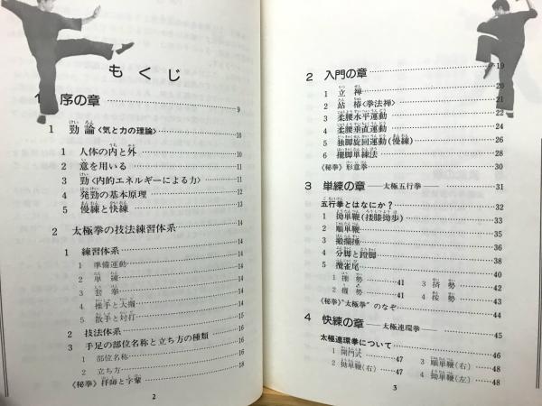 DVD 意拳 六大秘訣 第6巻
