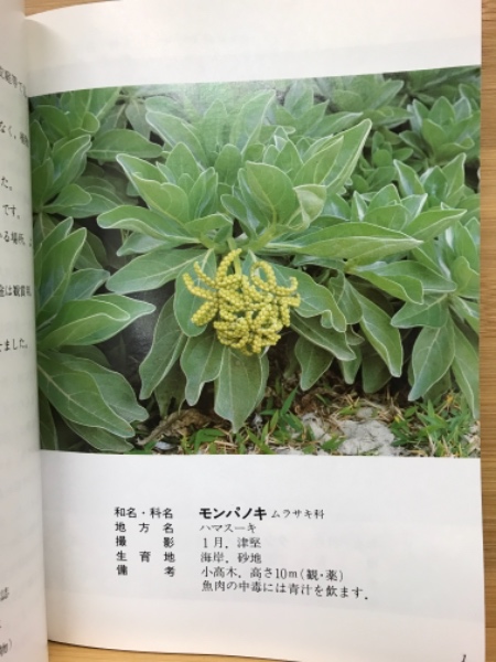 沖縄教材植物図鑑 路傍の草木 仲真良英著 古本倶楽部株式会社 古本 中古本 古書籍の通販は 日本の古本屋 日本の古本屋