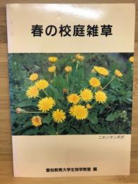 春の校庭雑草