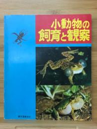 小動物の飼育と観察