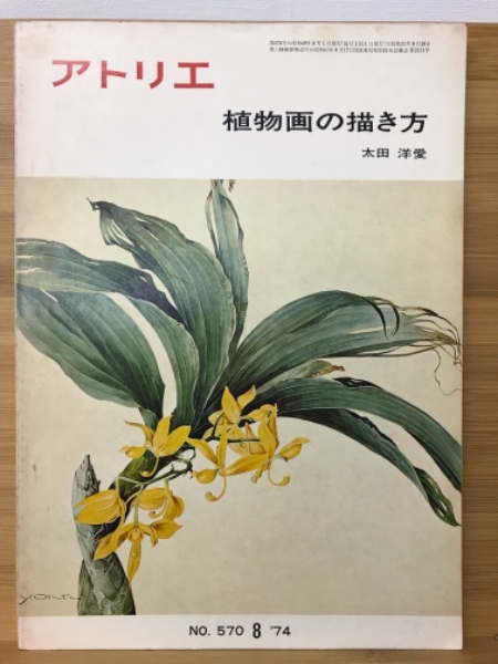 アトリエ No 570 8月 植物画の描き方 古本 中古本 古書籍の通販は 日本の古本屋 日本の古本屋