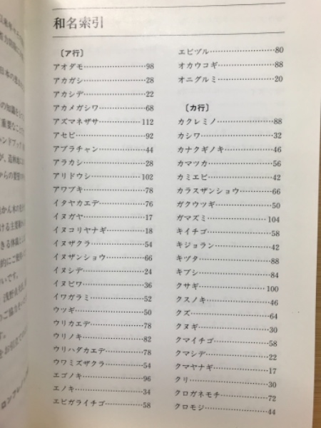 興福寺二諦坊古式墨 1.3丁型 - 書道用品、墨、墨液、紙、筆を卸