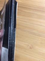 日本の貝殻