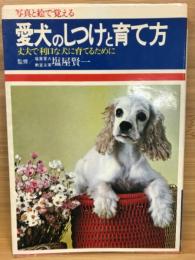 愛犬のしつけと育て方