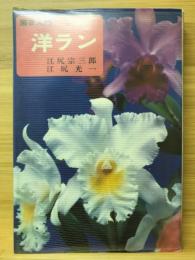 洋ラン