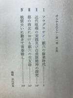 けんかえれじい