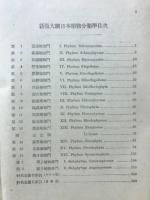 大綱日本植物分類学